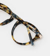 Ann Brown Havana Readers