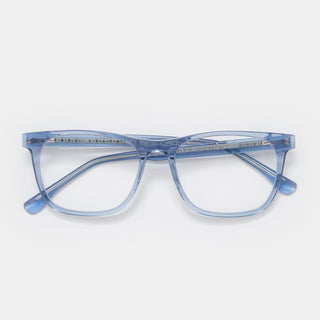 Christina Shiny Blue Readers