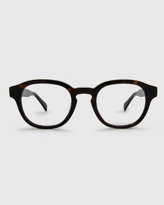 Liam Turtle Brown Readers