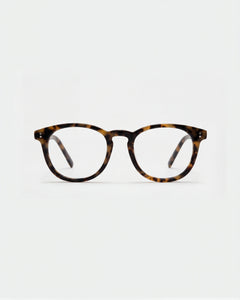 Eva Honey Turtle Readers