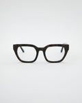 Kiara Turtle Brown Readers
