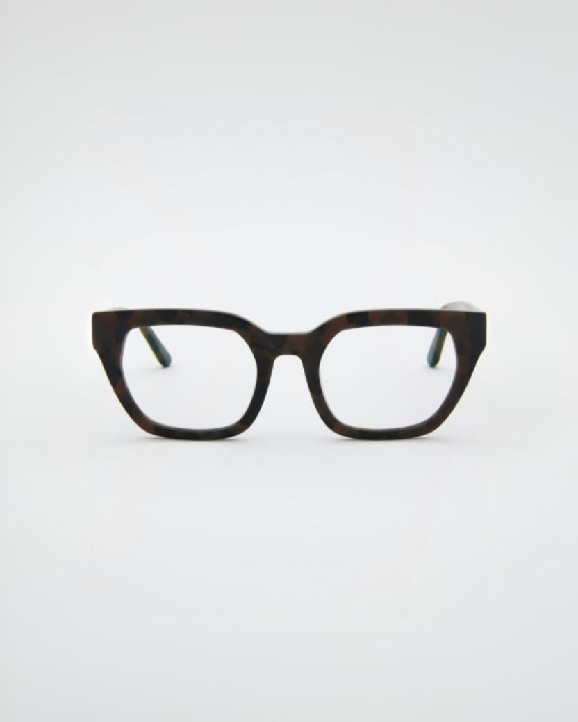 Kiara Turtle Brown Readers