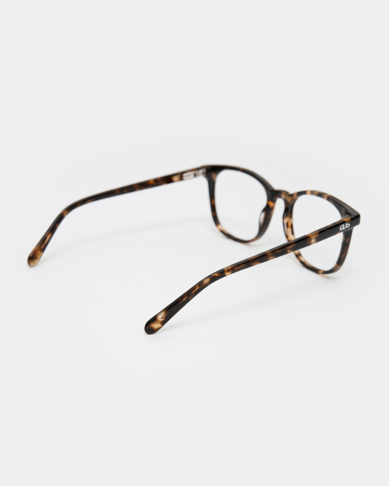 Zoey Amber Turtle Readers – GLAS Eyewear
