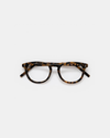 Eva Honey Turtle Readers