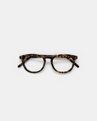 Eva Honey Turtle Readers
